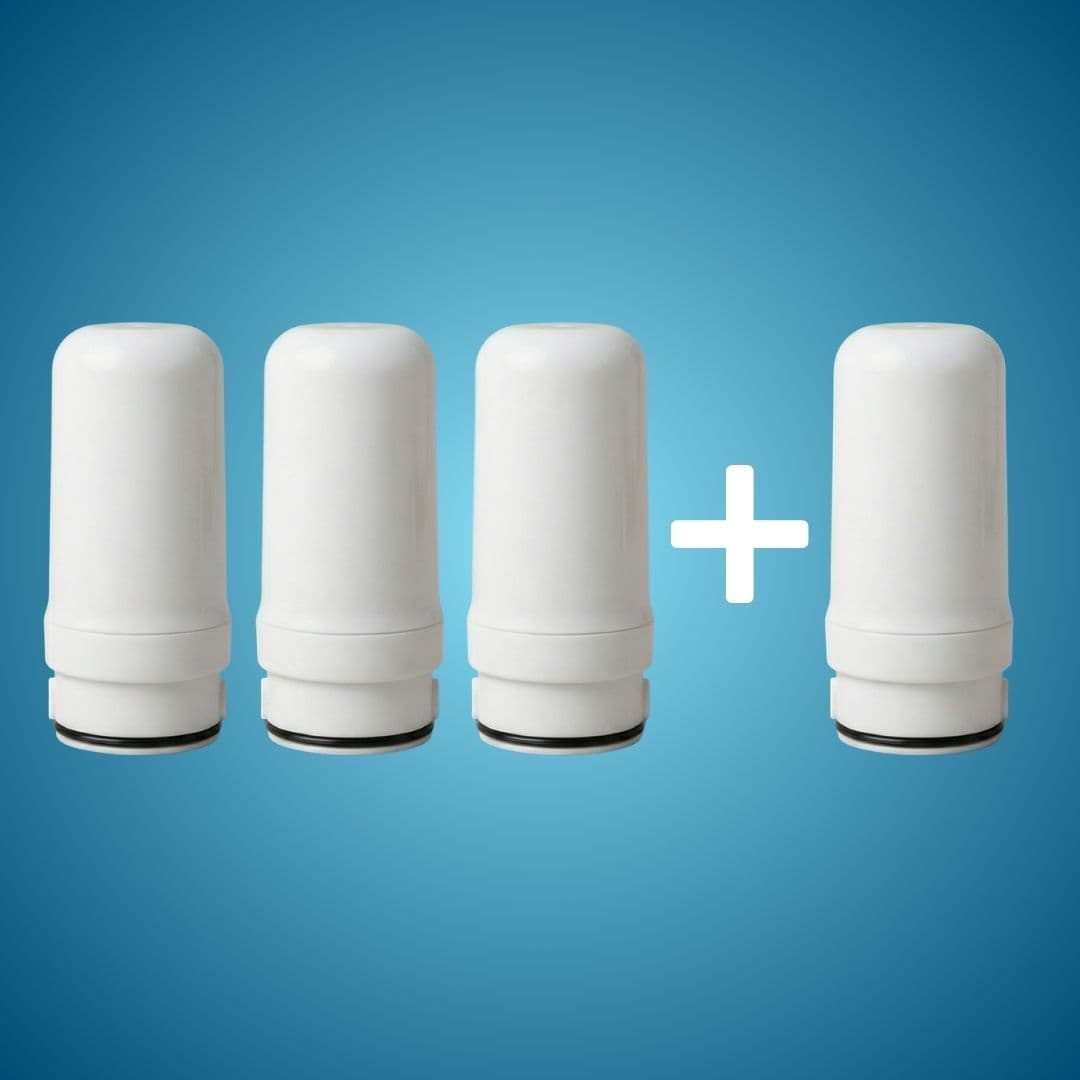 PurVoda - Филтър 3+1 (240 дни)