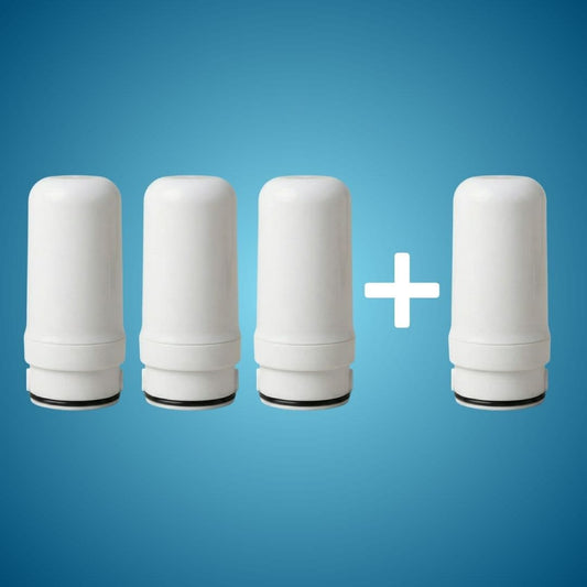 + PurVoda - Филтър 3+1 (240 дни)