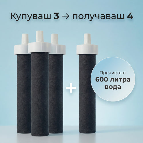 Филтър за Бутилка 3+1 (8 месеца)