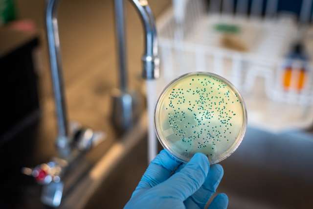 iStock-1140796436-640x427.jpg__PID:37eab1b3-e9a3-48e2-ba79-a412346b927f